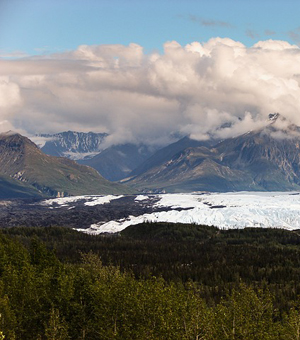 运行流畅快速的网页版呼叫中心